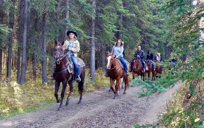 Nature, Wildlife and Outdoor Adventures in Clay County